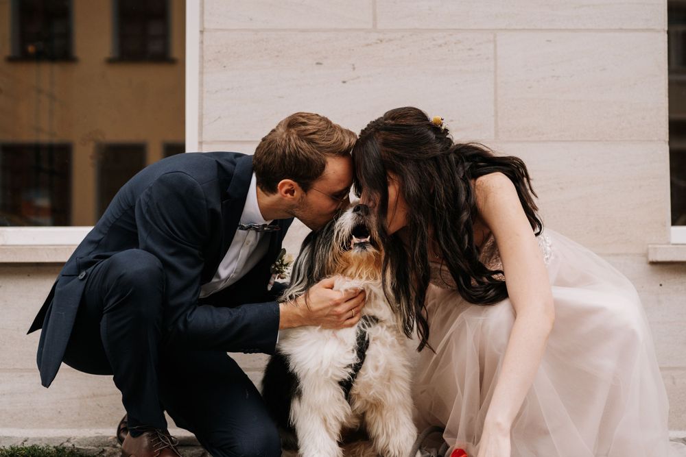 Dog receiving affection from people in formal attire on stone pavement.