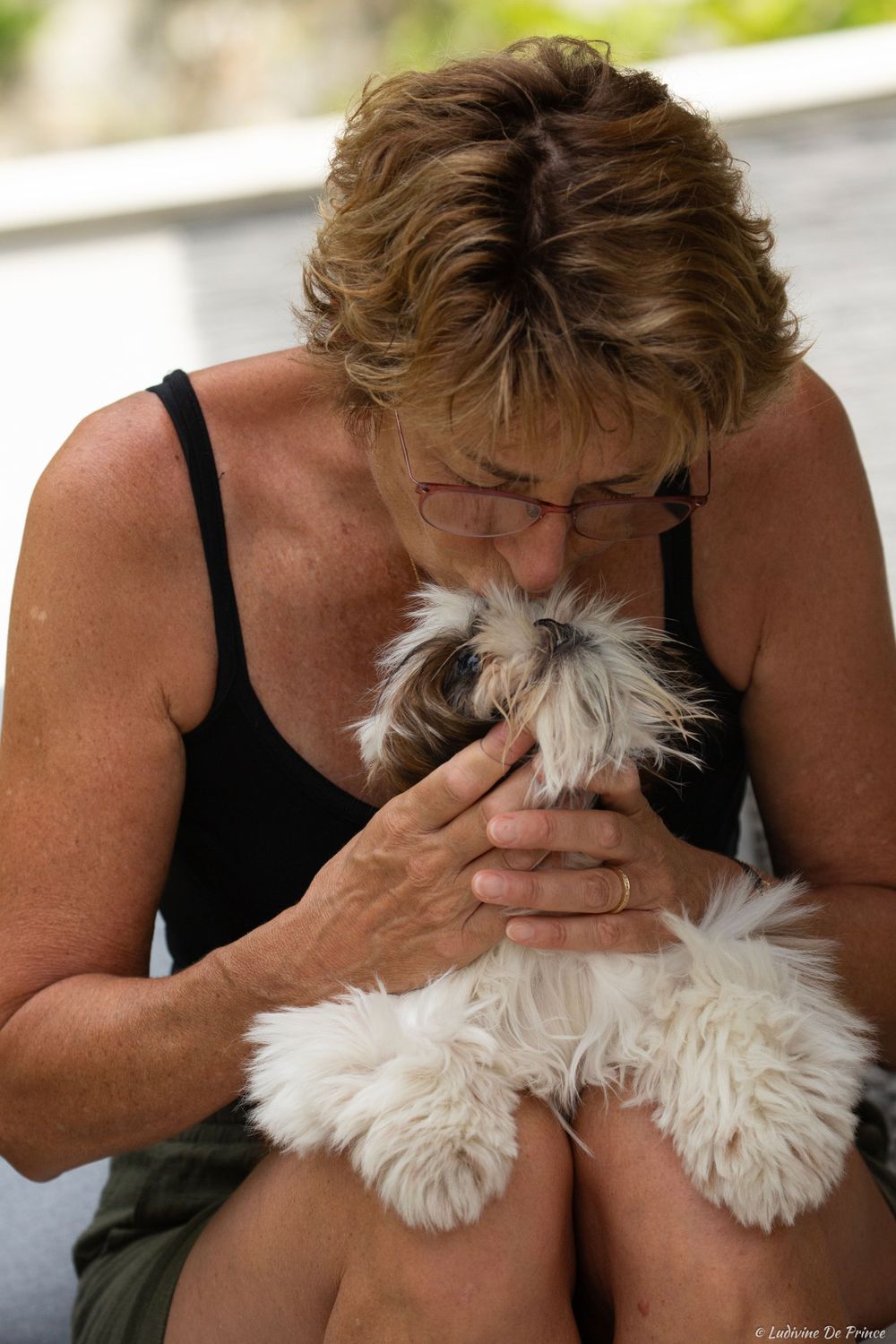 ludivine de prince photographie animal de compagnie synergie chien