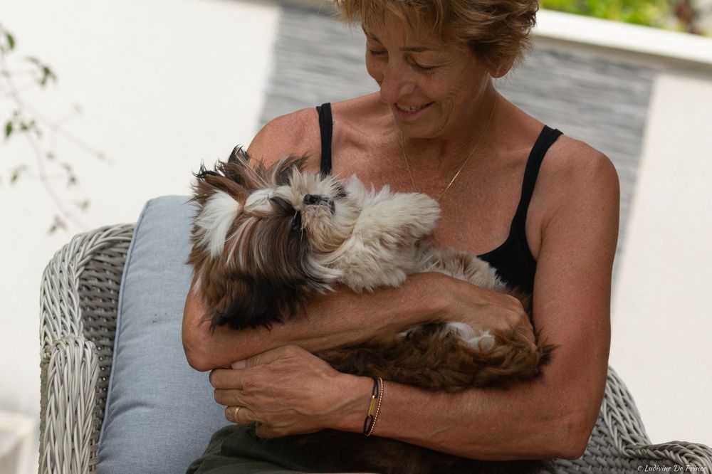 ludivine de prince photographie animal de compagnie synergie chien
