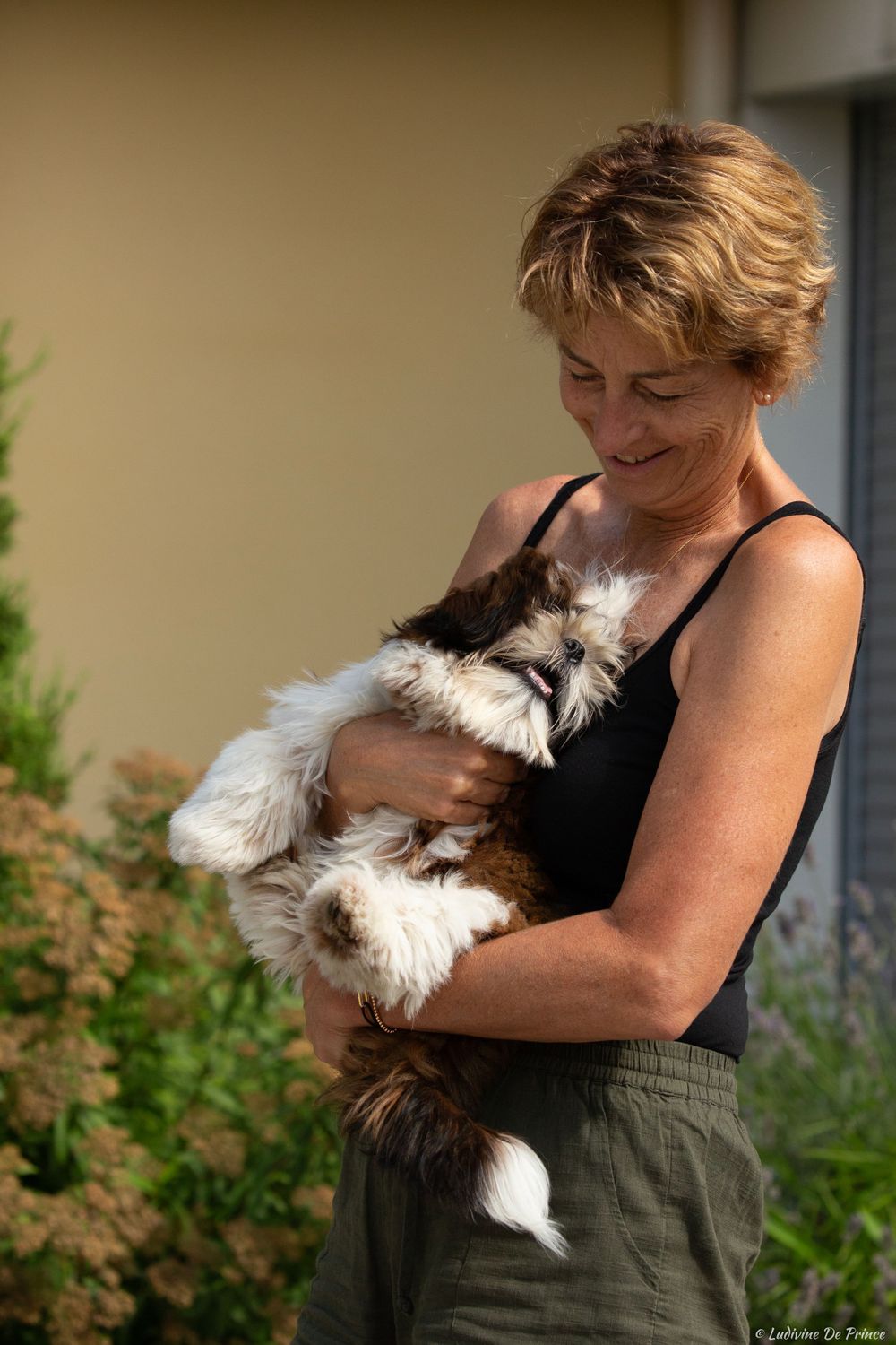 ludivine de prince photographie animal de compagnie synergie chien