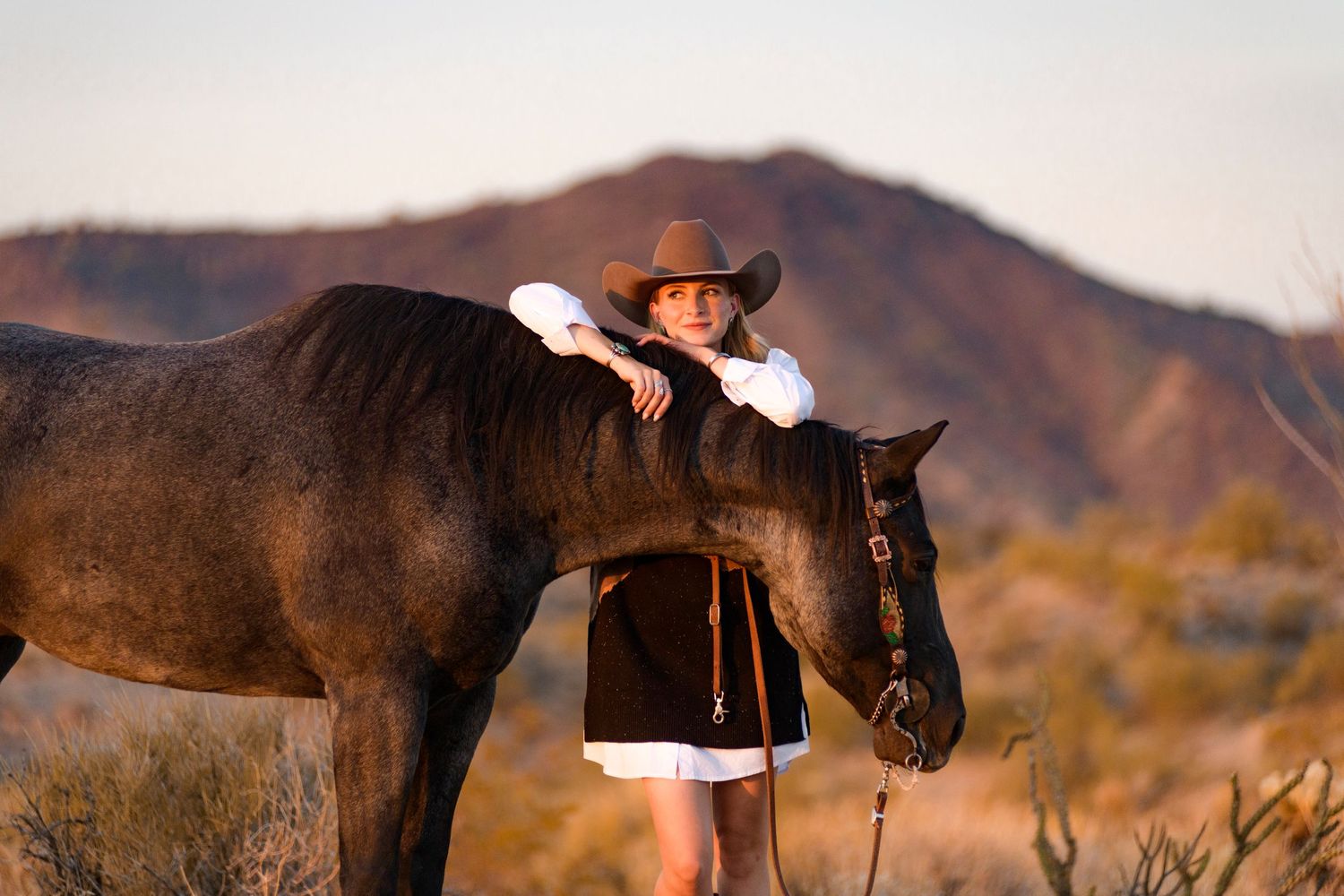 A dark horse grazes while being admired in a desert landscape at sunset.