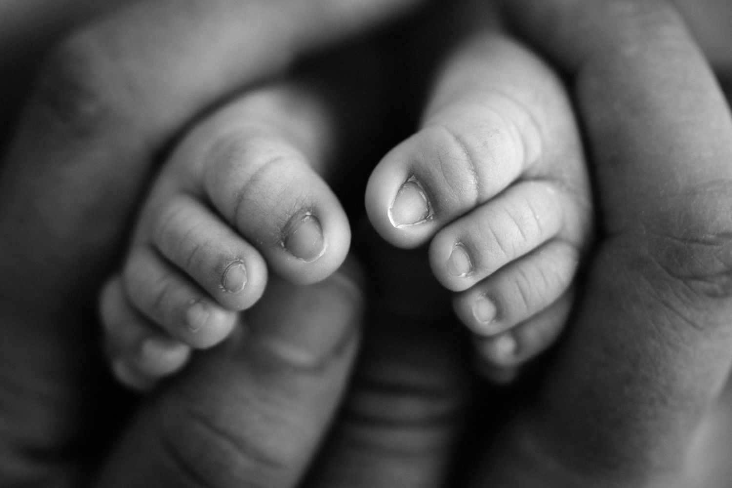 Intimate family lifestyle photoshoot with soft natural lighting against white backdrop.