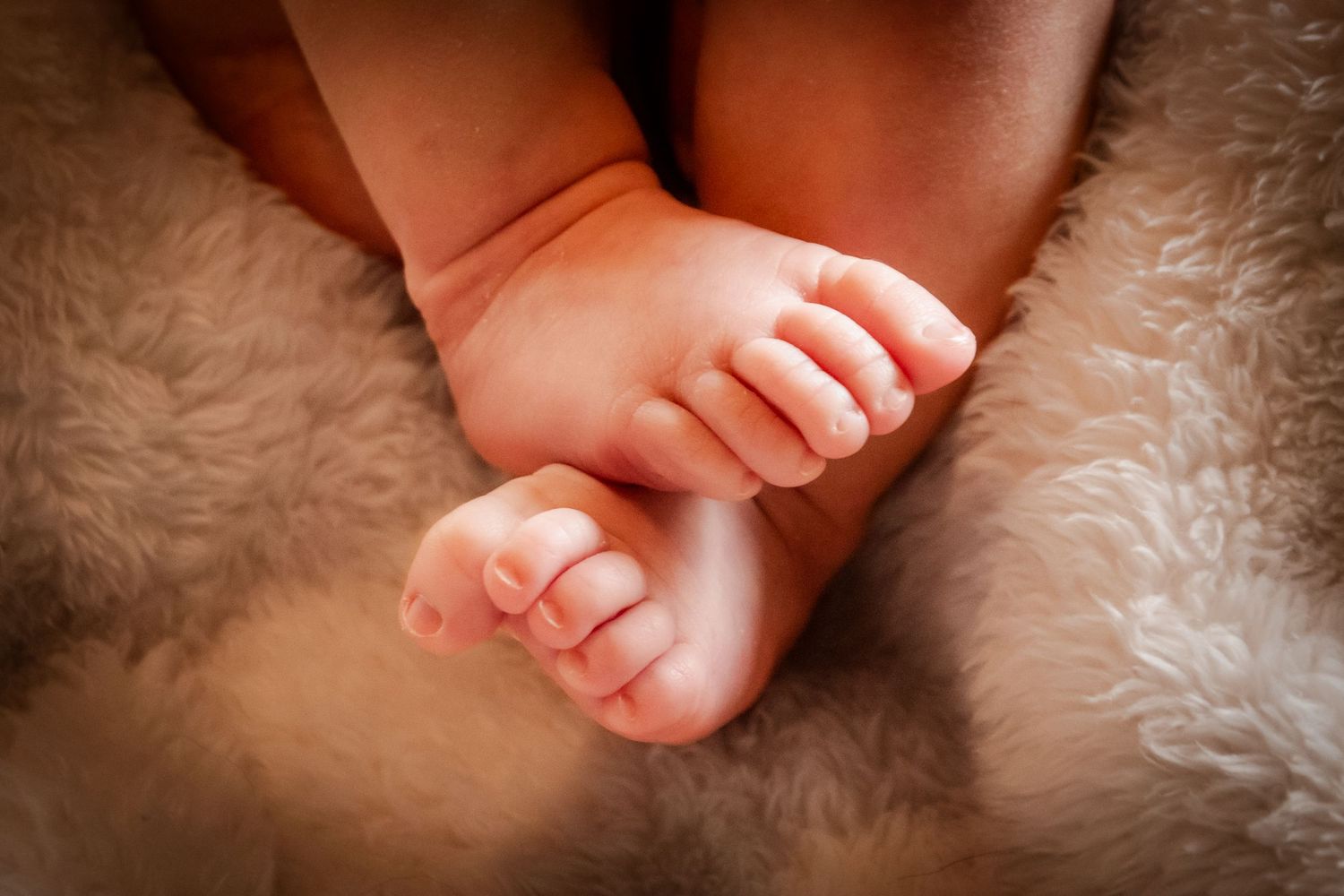Close up of tiny baby feet resting on soft furry blanket.
