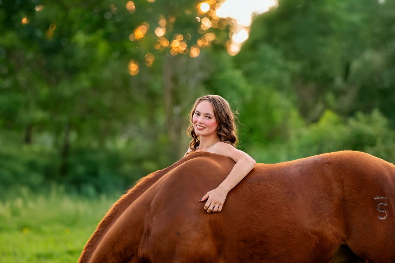 AE Equine Photography offers beautiful horse photography throughout the Fraser Valley. AQHA photo. Western lifestyle photo. BC Paint Club.