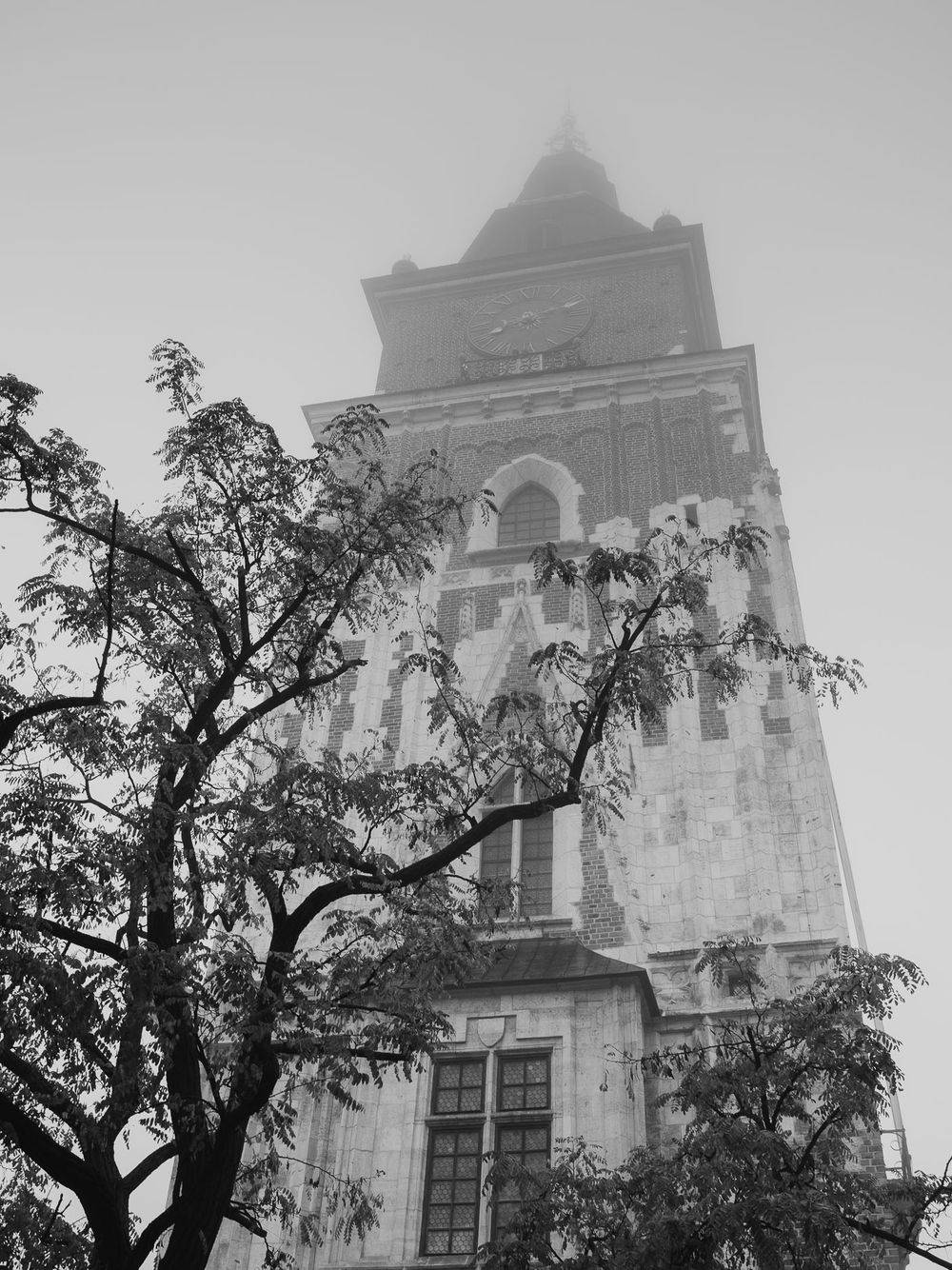 Gothic church tower shrouded in fog with bare tree branches in the foreground.