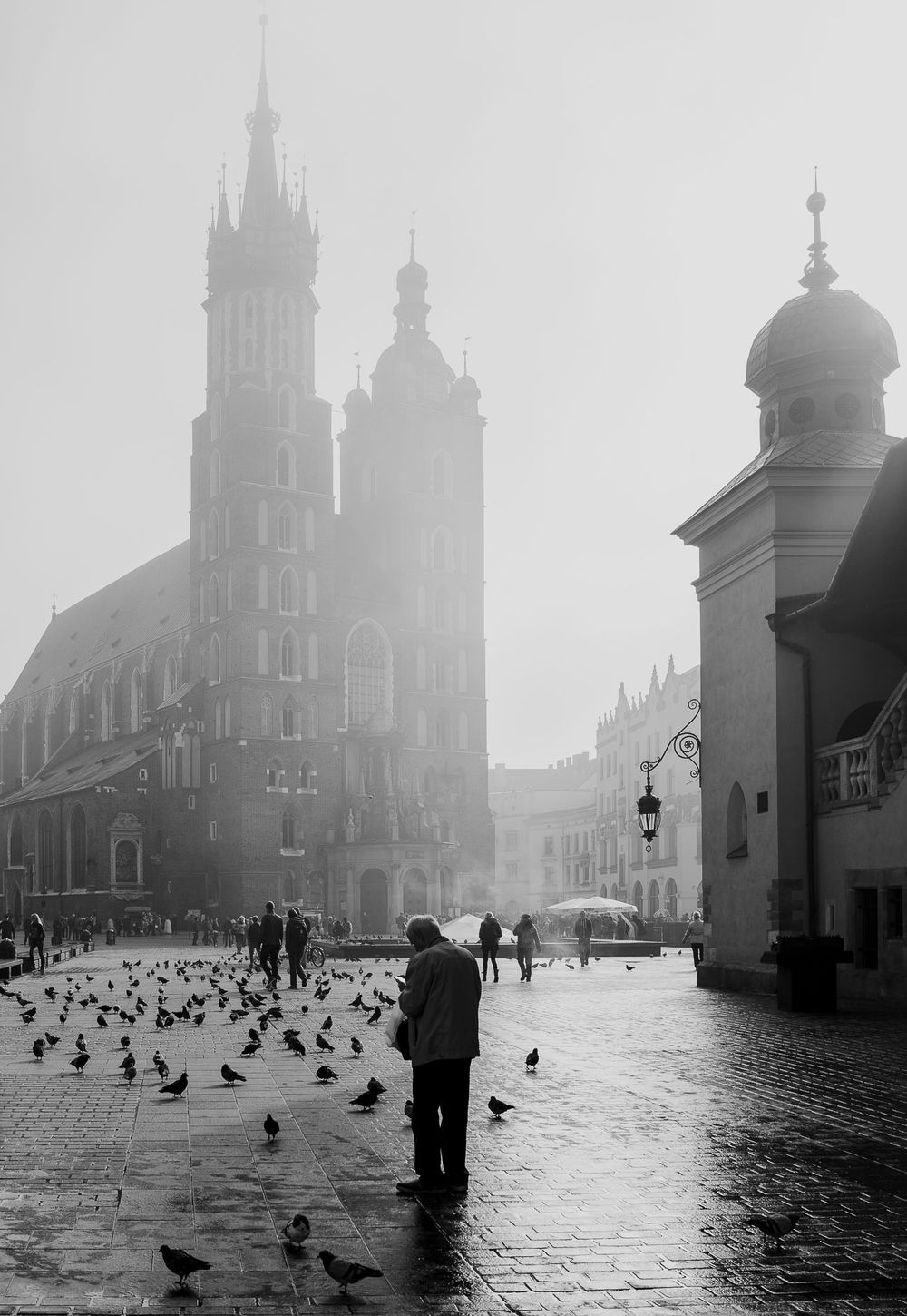 A black-and-white photo features a person standing on a cobblestone square surrounded by pigeons. Dominating the backgro