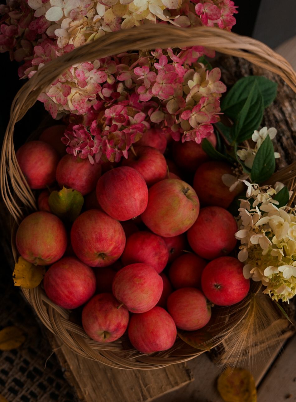 Rustic woven basket filled with fresh red apples and delicate hydrangea flowers.