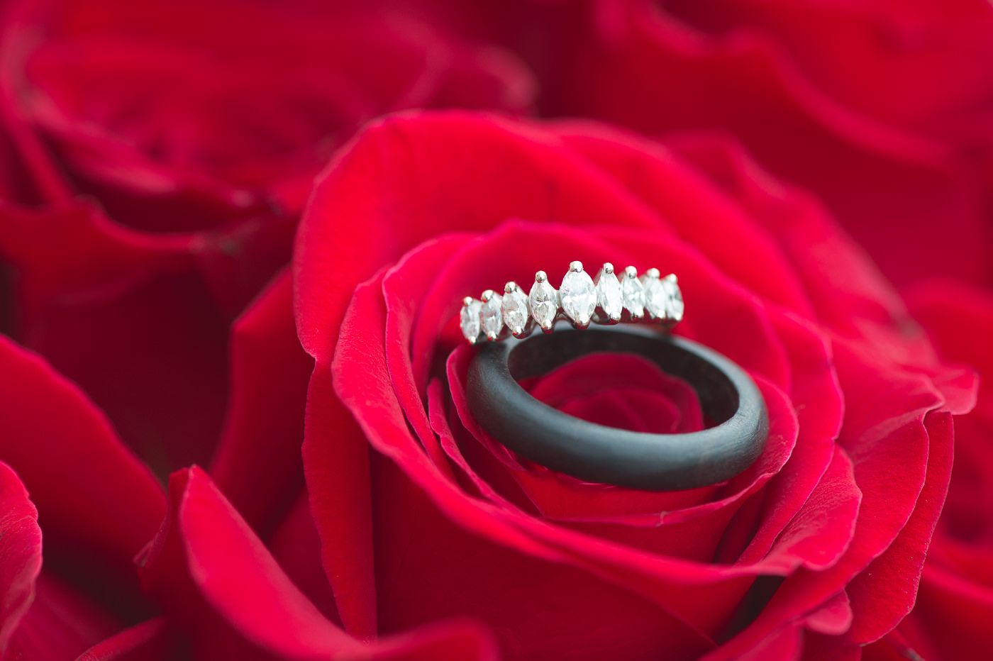 photo de Mariage élégante et naturelle
