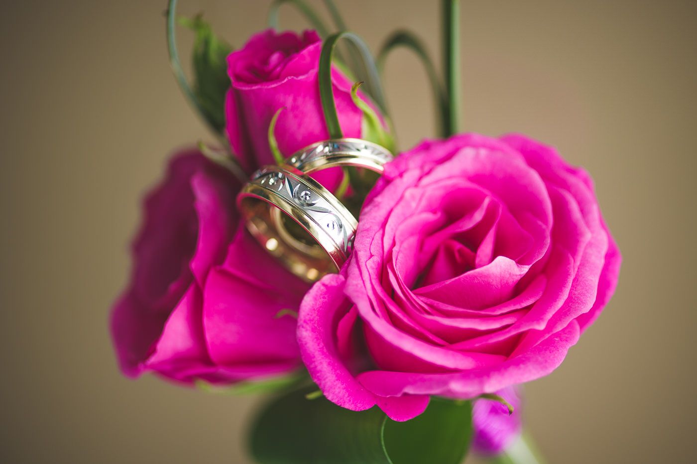 photo de Mariage élégante et naturelle
