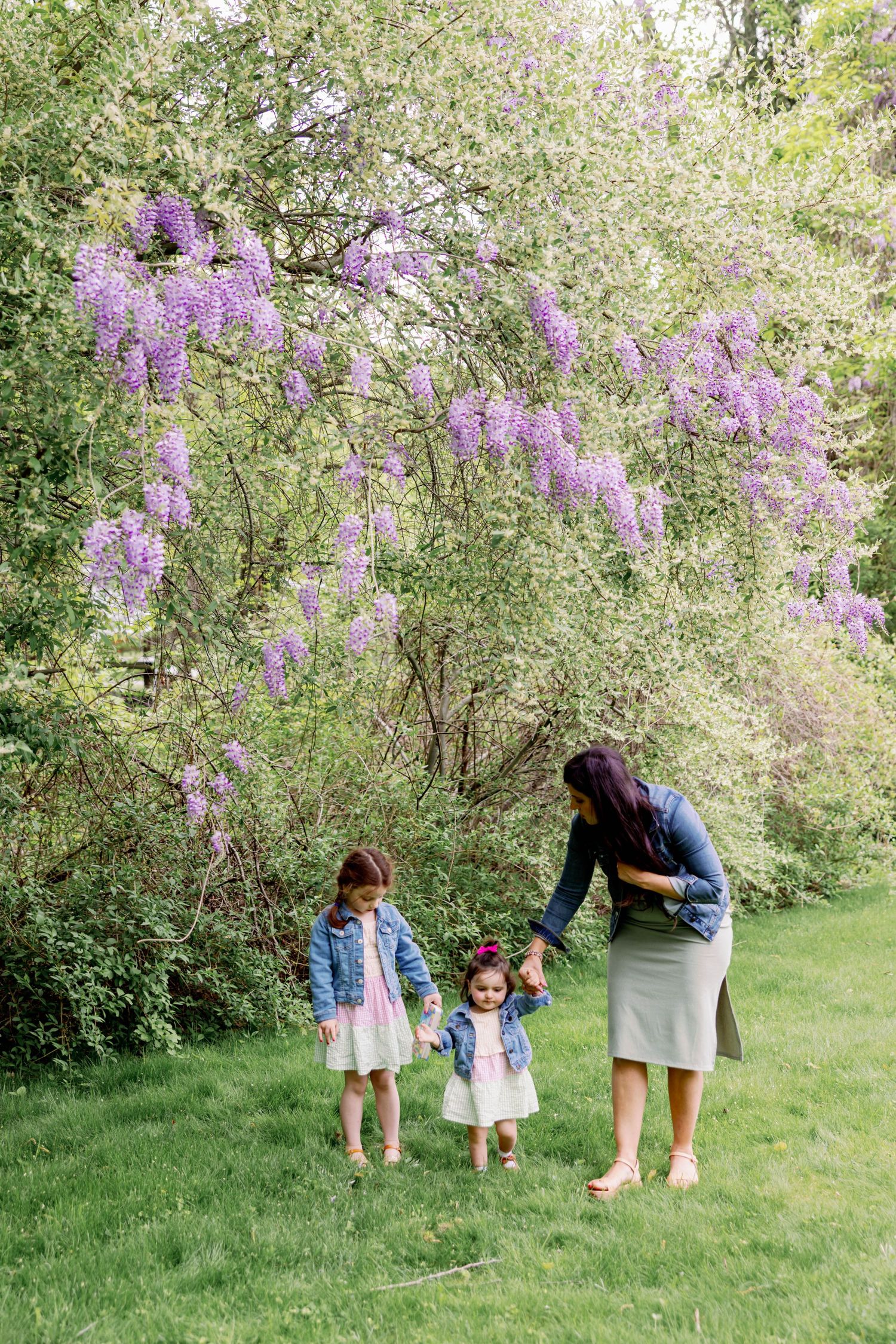 People searching through blooming lilac bushes in a spring garden.