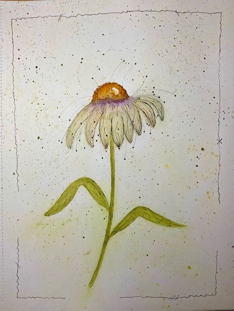 Minimalist watercolor daisy flowers in sequence with light pencil border frames.