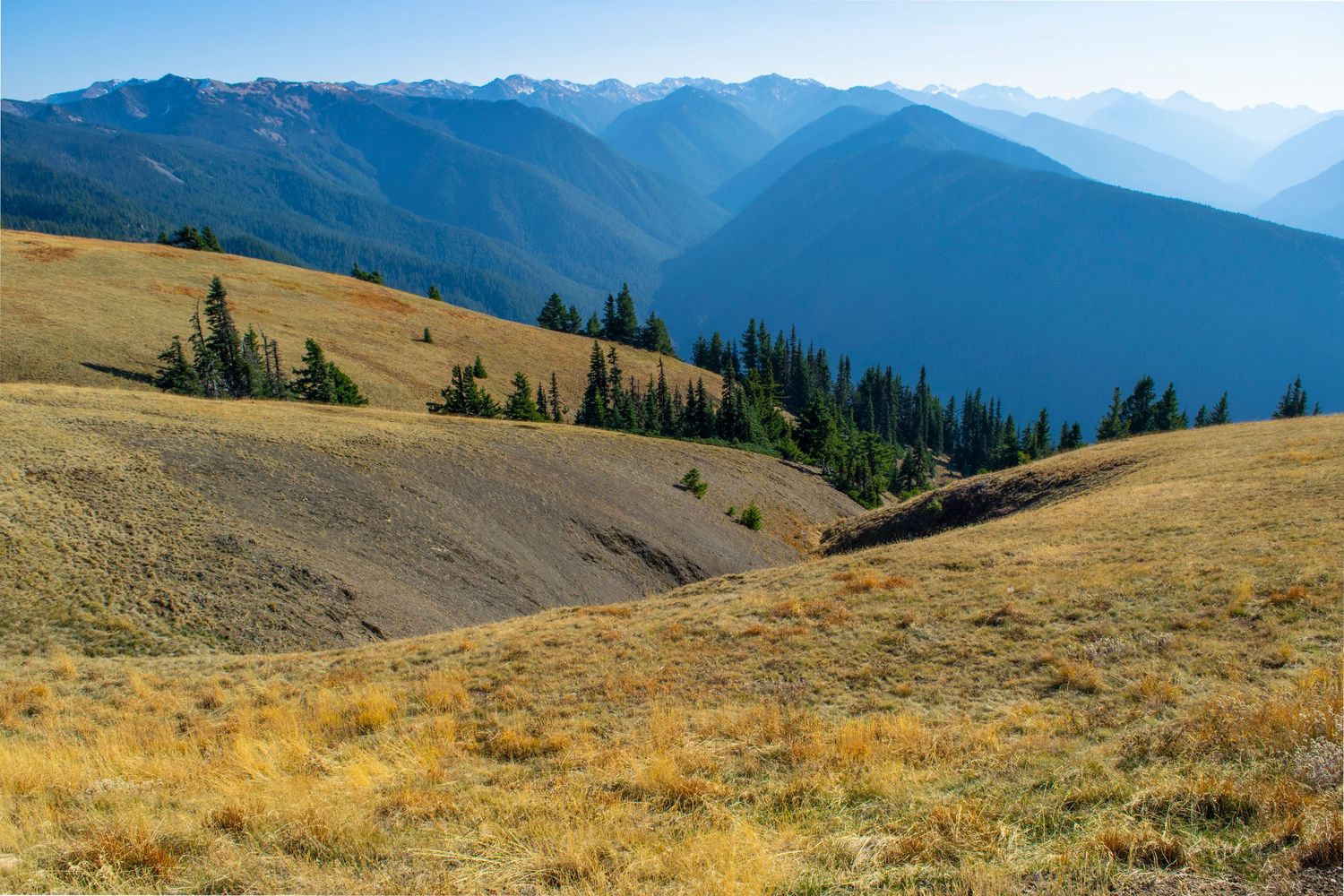 Rolling golden hills and distant blue mountain ranges under clear skies in an alpine landscape.