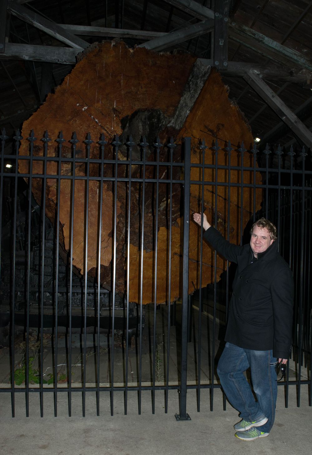 A visitor poses beside a large metal fence installation at night.