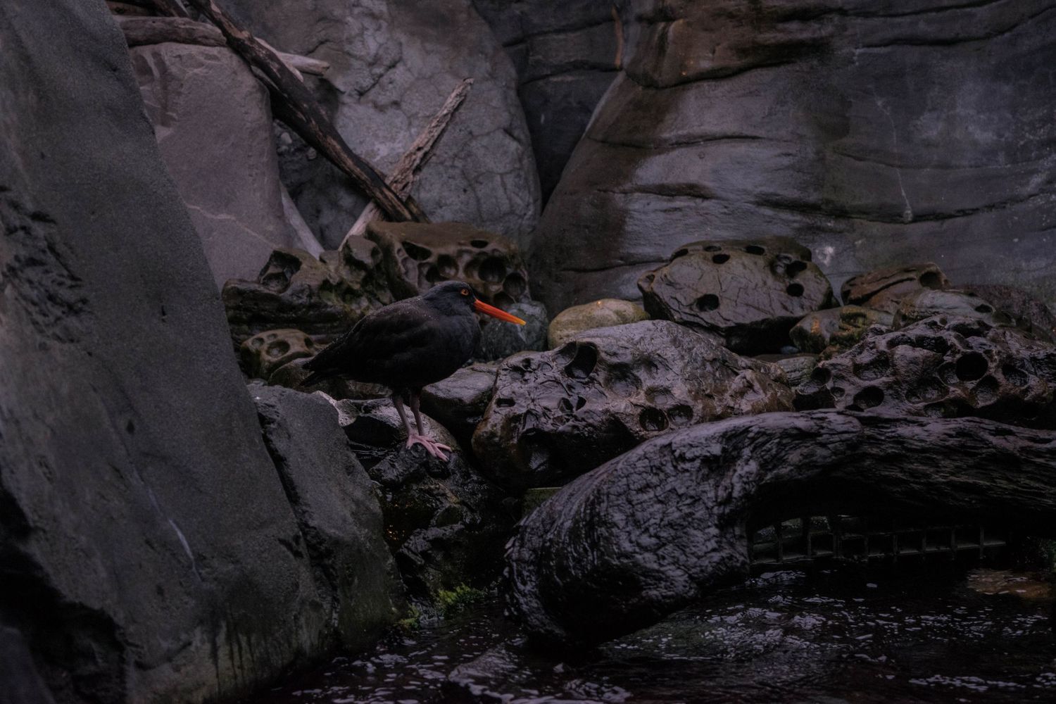 Dark rocky canyon with subtle red highlights in shadowy crevices.