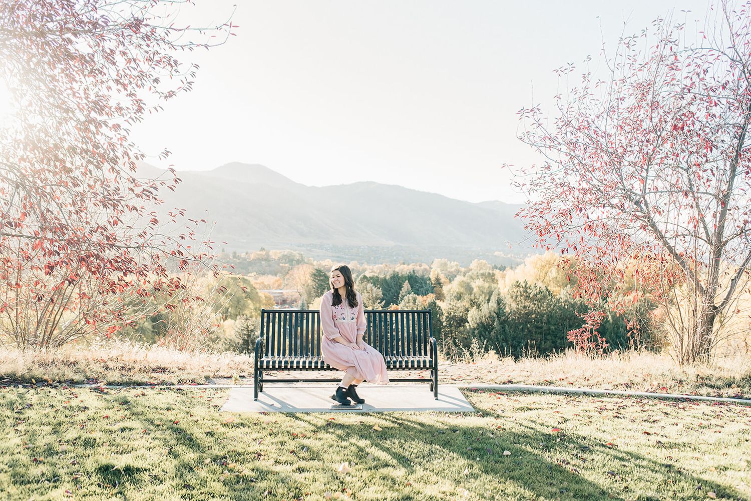 Person in pink dress sitting on park bench surrounded by blooming cherry blossoms.