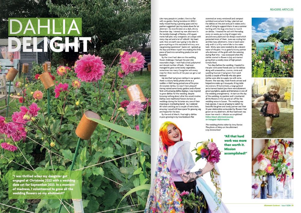 Scan of Eliza and Michaels wedding in Allotment magazine featuring Elizas Mum and her Dahlias