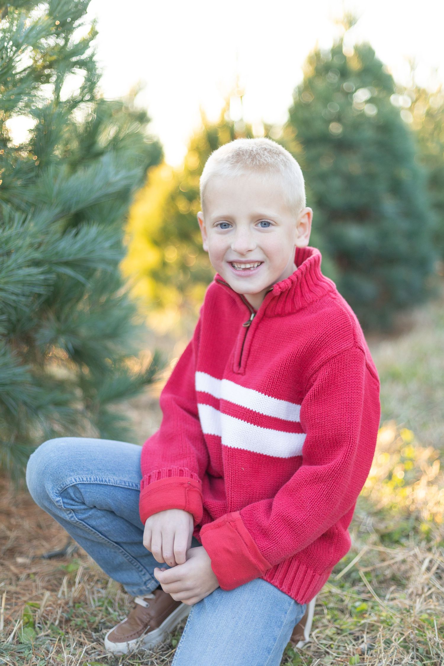 christmas tree farm session belleville illinois