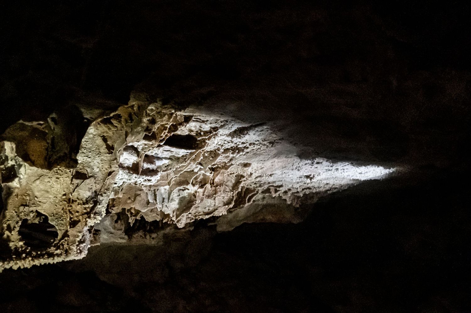 Sunlight streams into a limestone cave illuminating the rough textured rocky surfaces inside.
