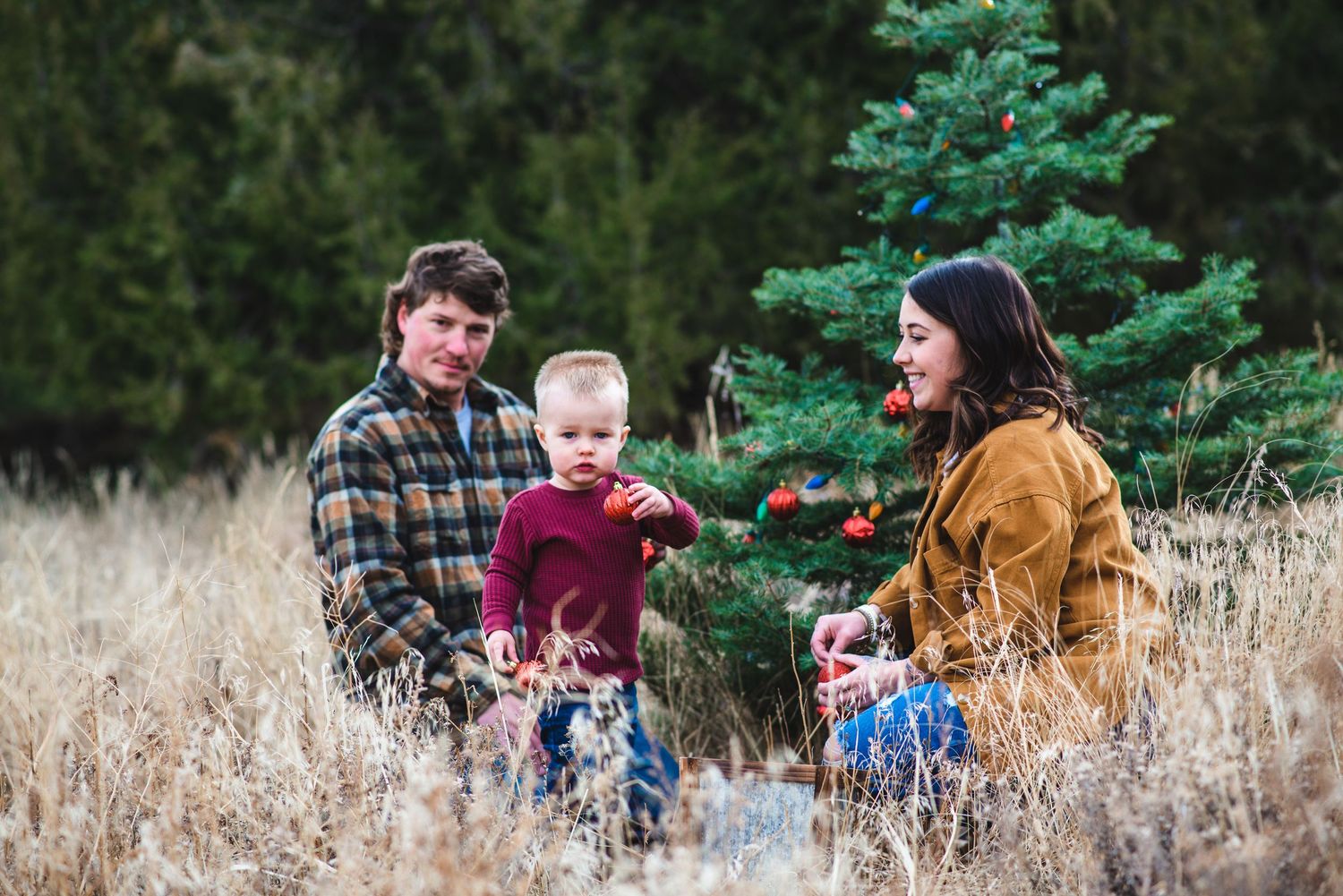 Amber Canterbury Photography Christmas mini session