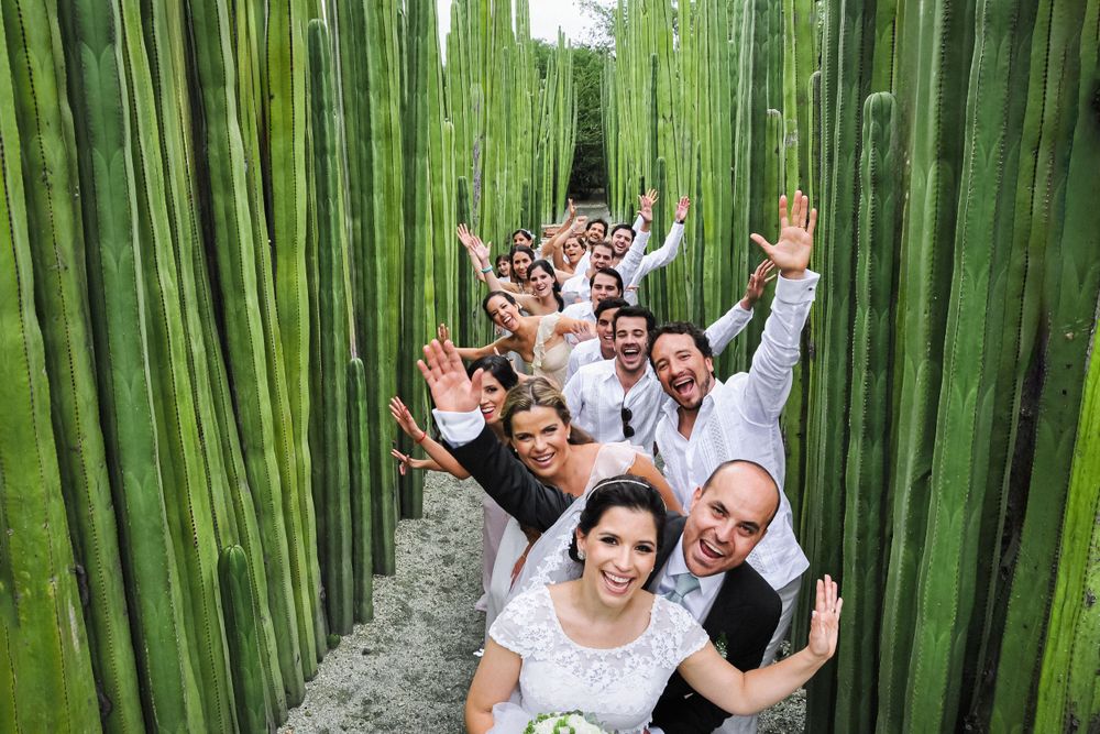 Wedding party poses cheerfully in a bamboo forest walkway.