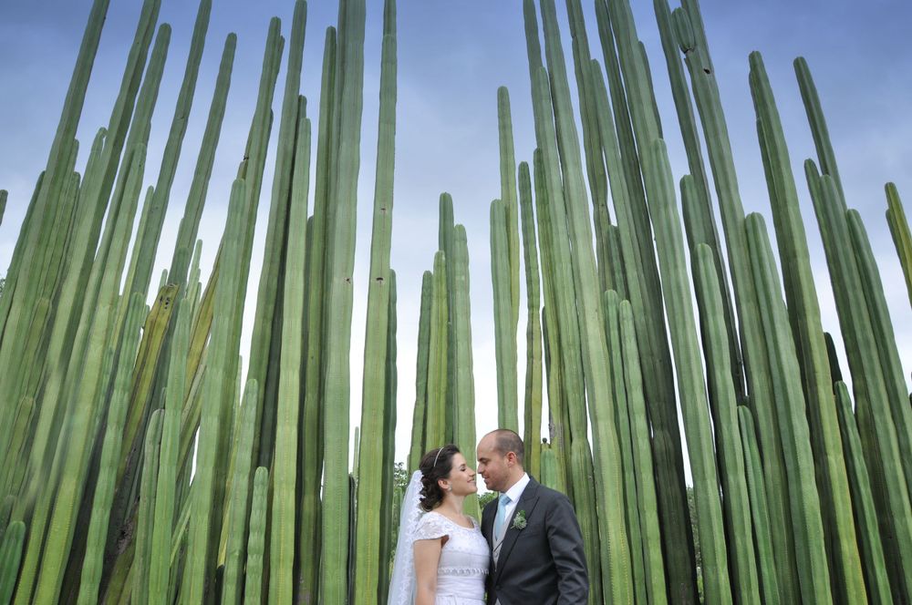 Wedding couple shares intimate moment among tall green bamboo stalks.