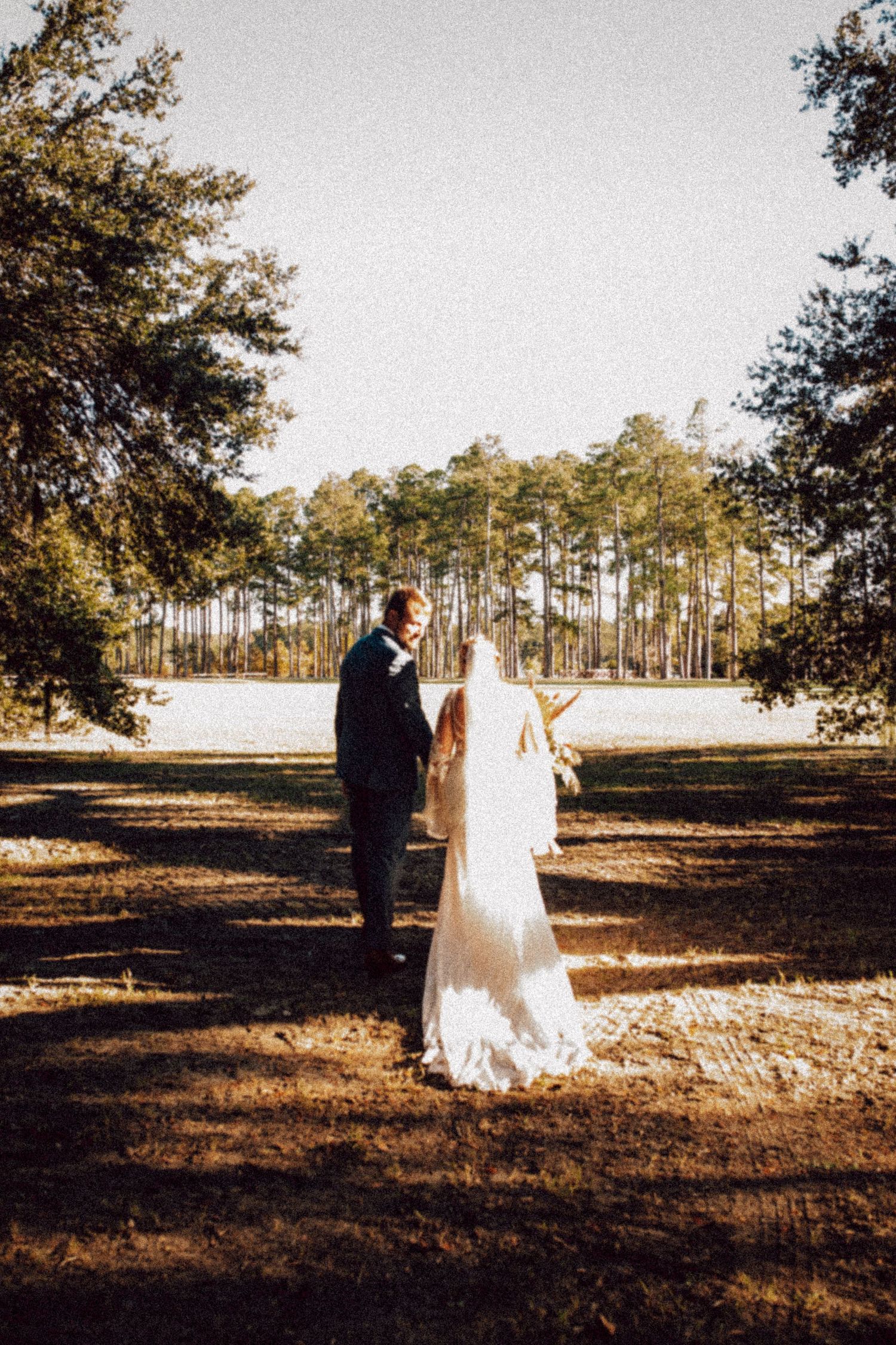 Romantic wedding photo of newlyweds standing among tall pine trees at sunset.