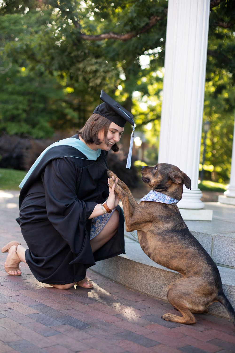 Graduate in cap and gown plays with their dog on brick pavement near white columns.
