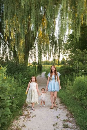 A peaceful path through a weeping willow grove on a summer evening.