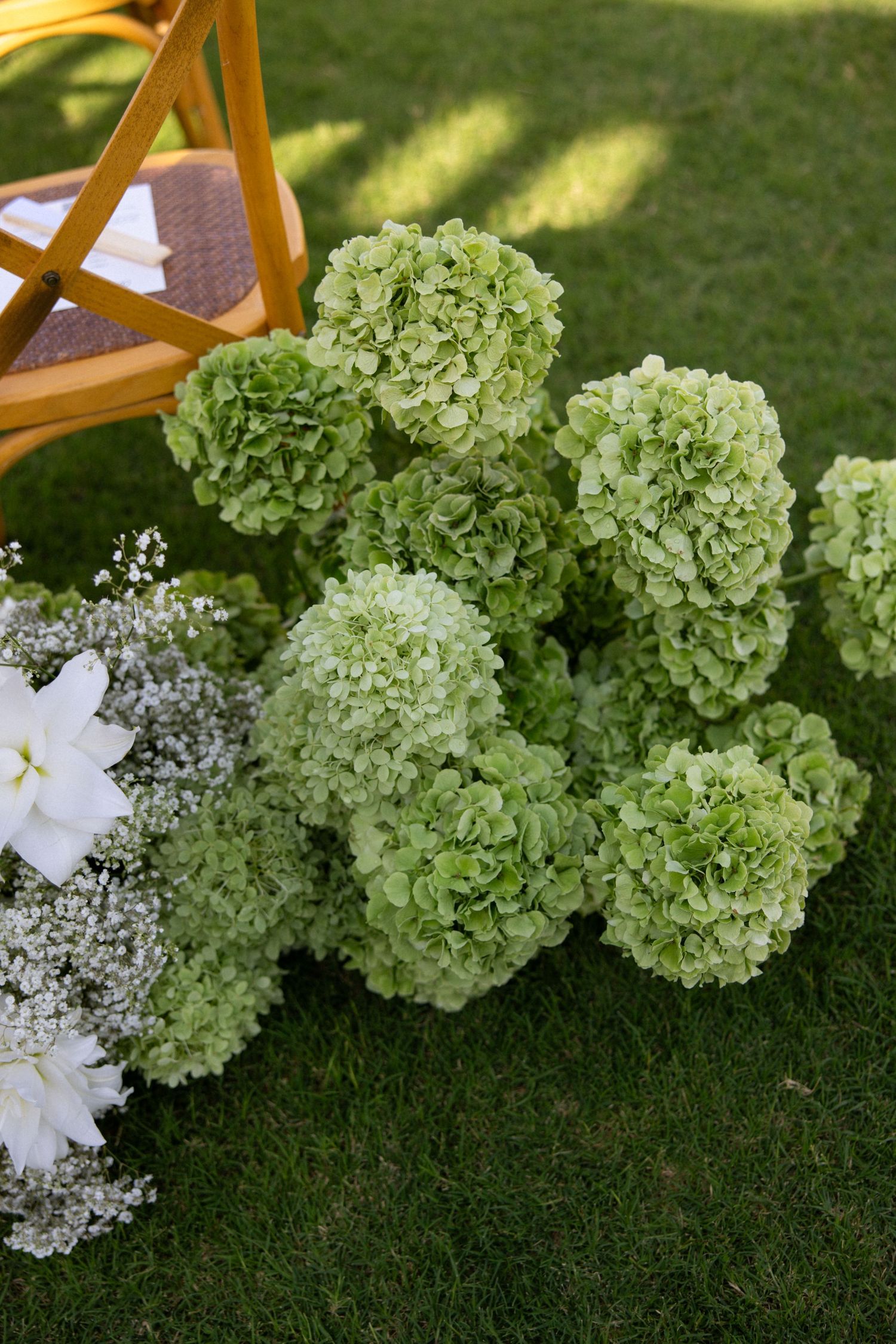 Fresh green hydrangea flower clusters and delicate white baby's breath line a grassy wedding aisle backdrop.