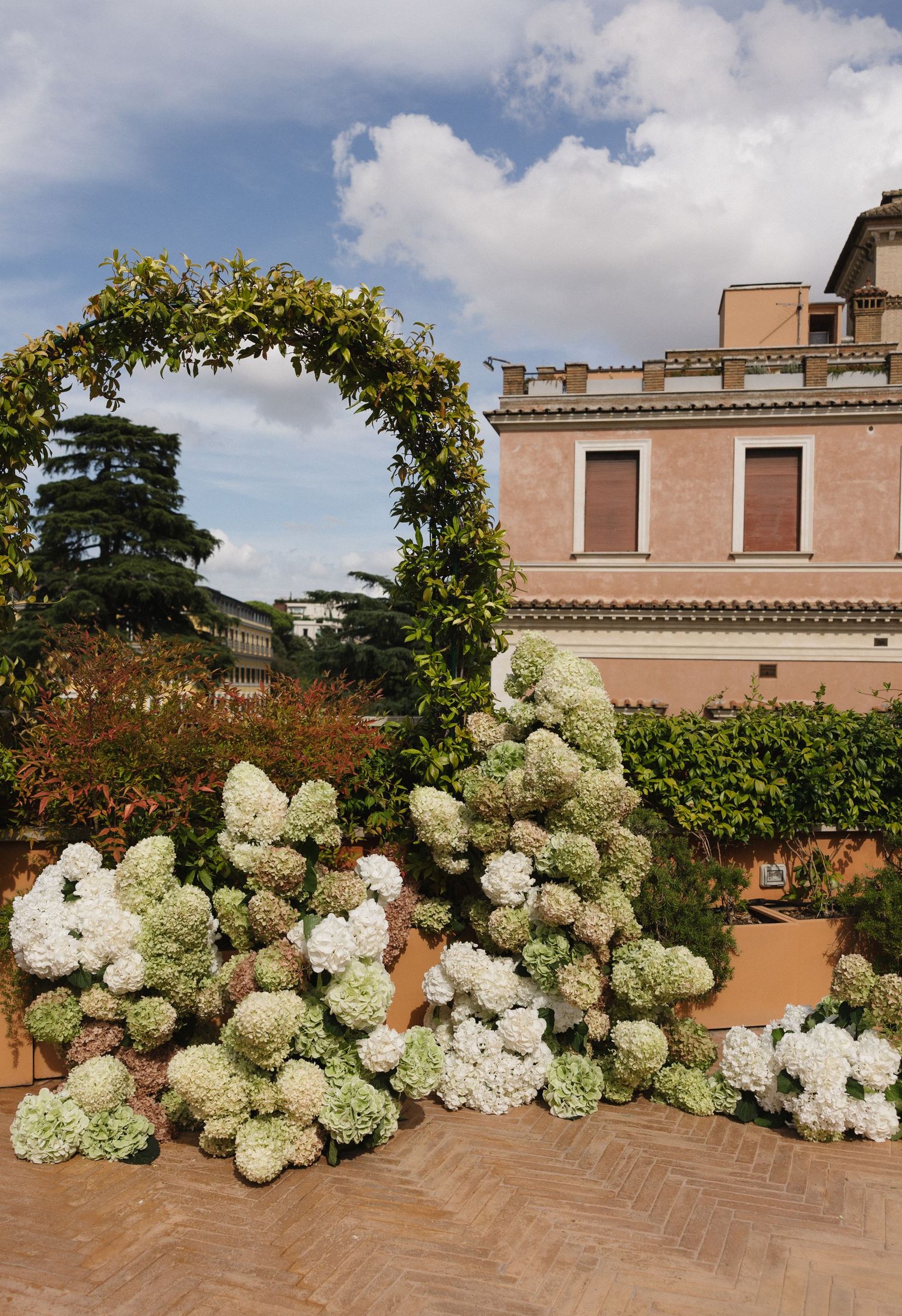 Large white hydrangea flowers arranged in a row against a pink stucco wall with blue sky and clouds above.