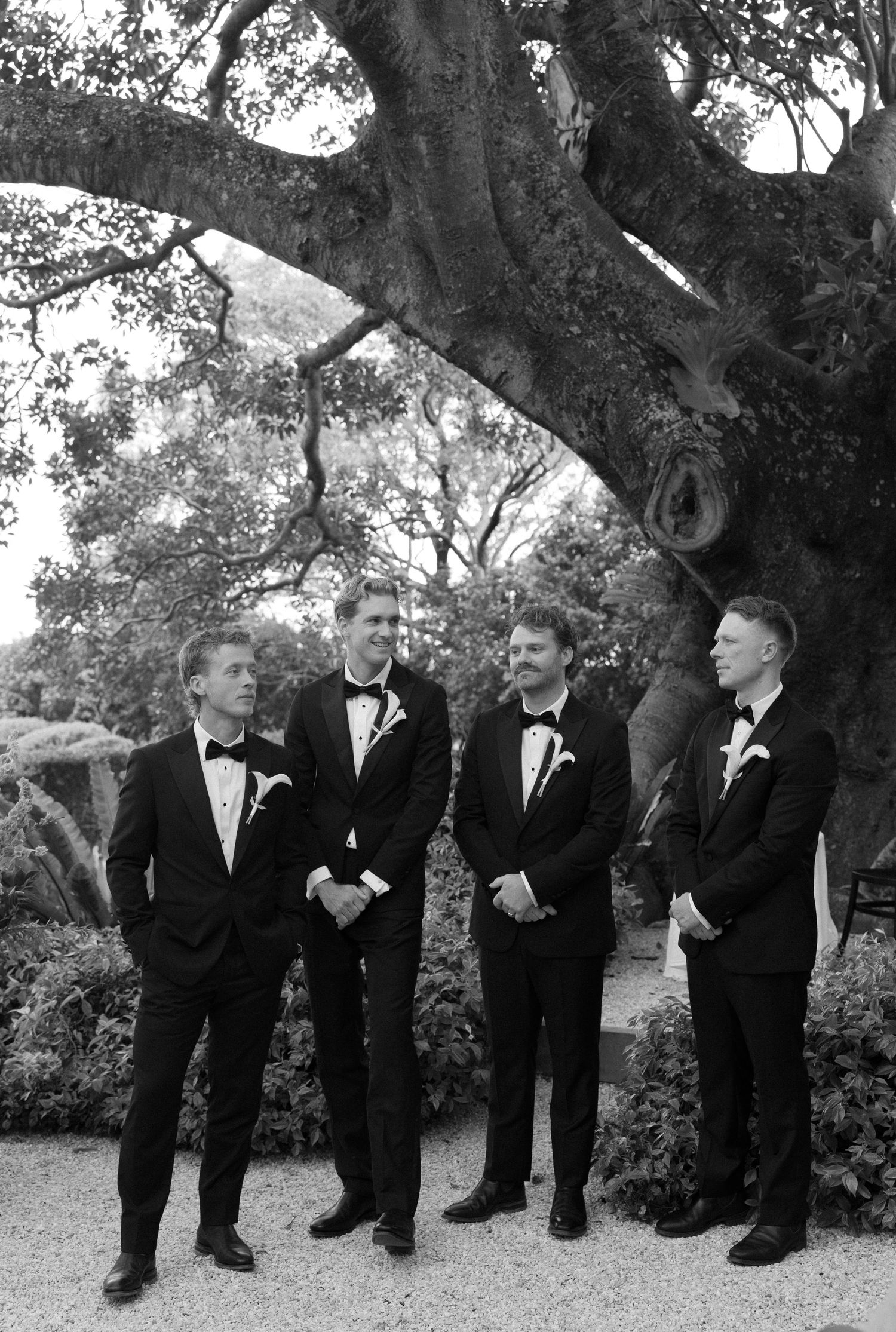 Four groomsmen in black tuxedos with bow ties and boutonnieres stand together beneath a large old tree in a black and white wedding photo.