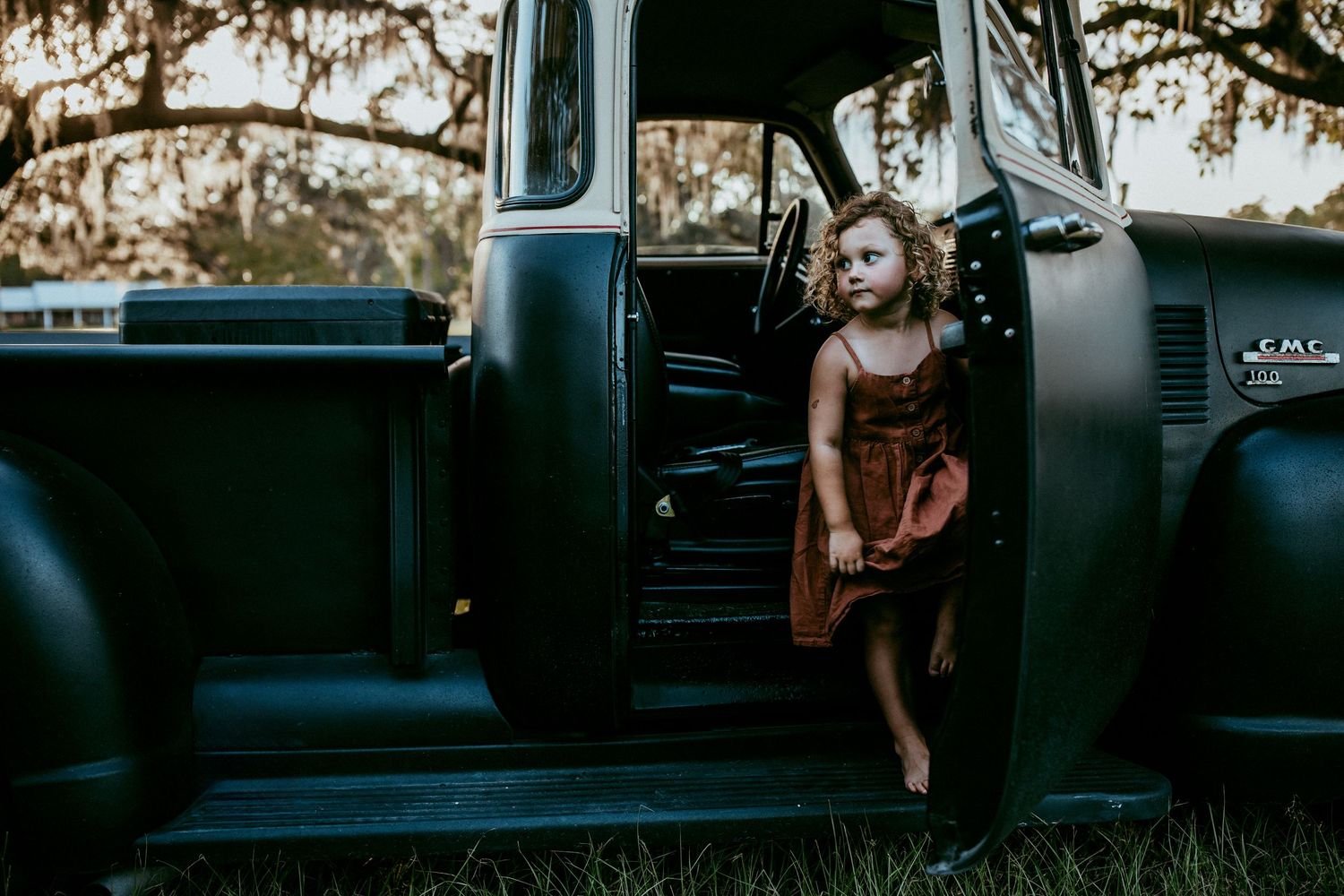A classic turquoise vintage pickup truck parked under hanging trees with open door in moody lighting.