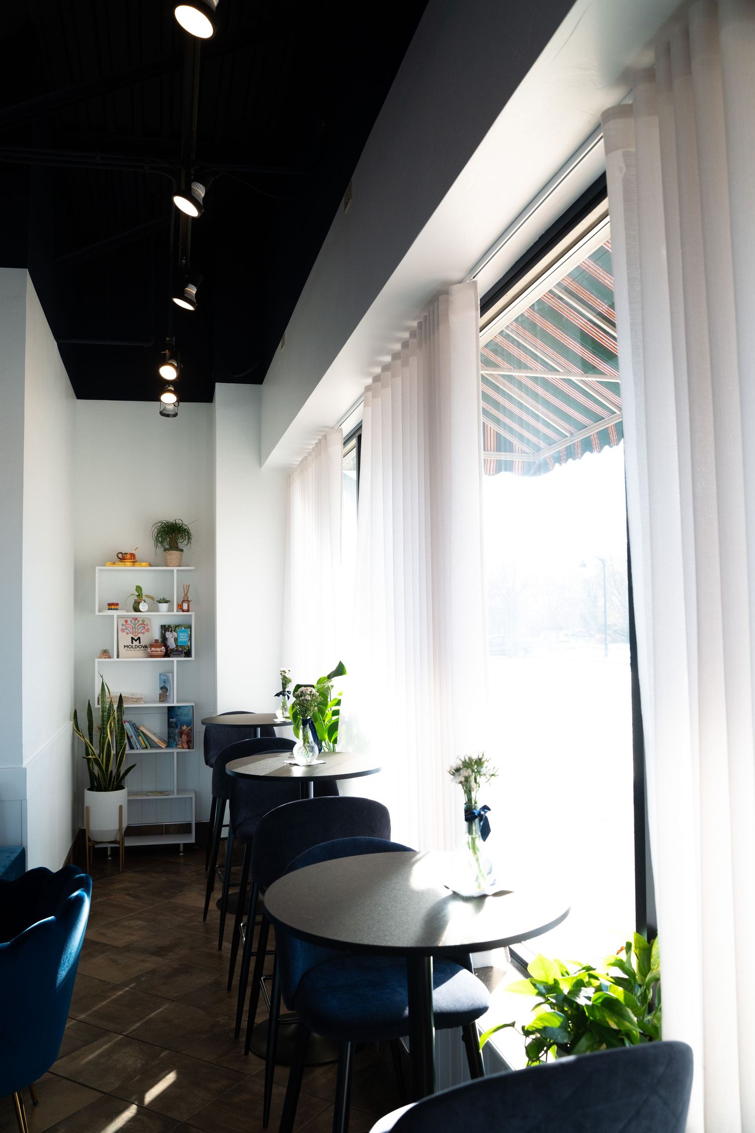 Modern cafe interior with blue chairs, round tables, and large windows letting in natural light.