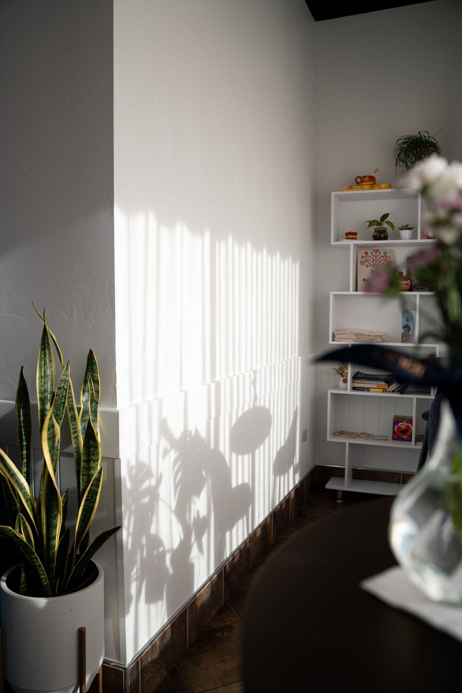 Sunlight casting dramatic plant shadows on a white wall next to a modern white shelf unit with plants.