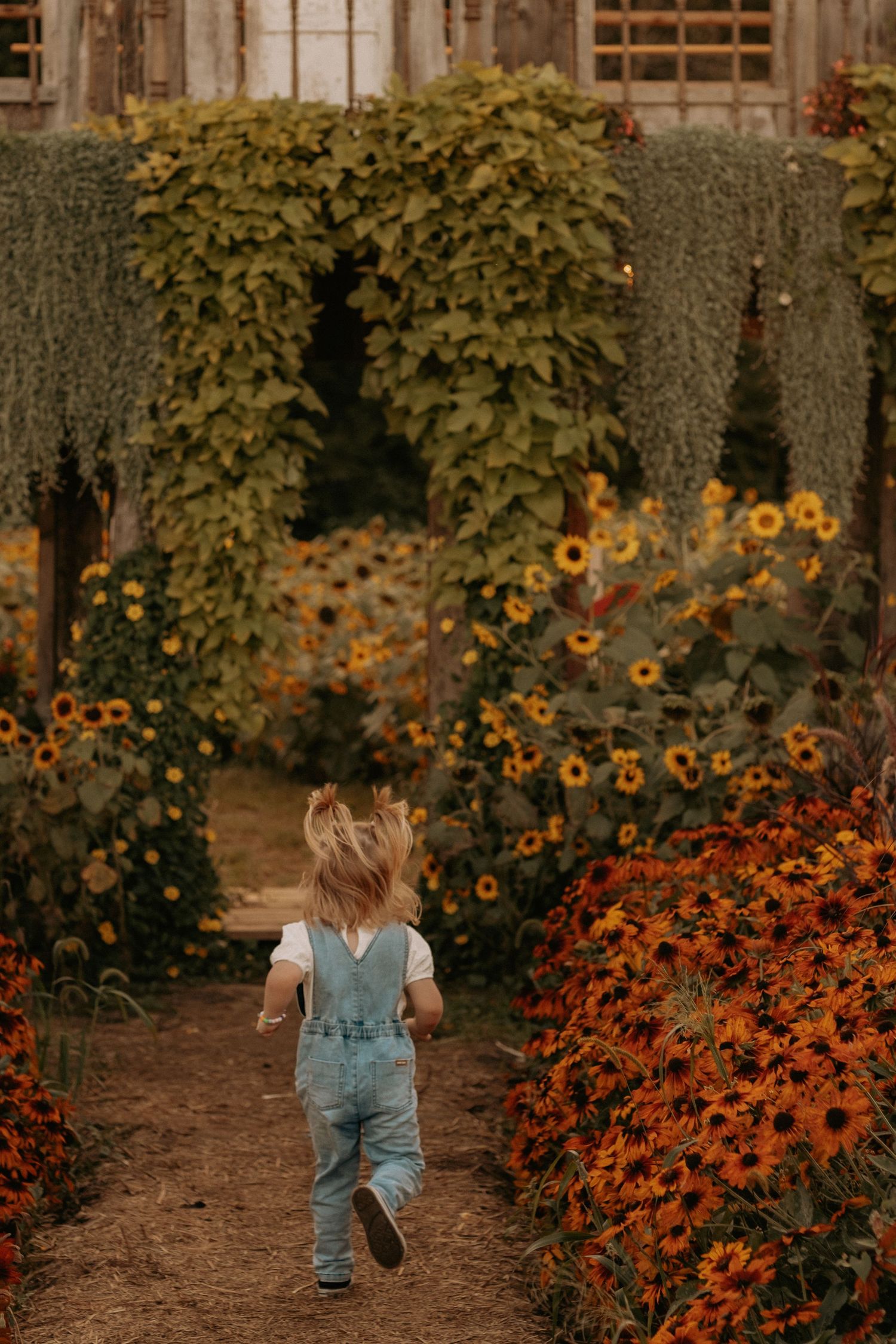 A small figure in denim overalls walks along a garden path surrounded by blooming flowers and vines.
