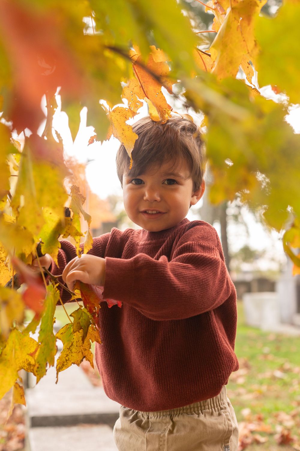 Child in burgundy sweater plays among yellow autumn leaves on trees in bright sunlight.