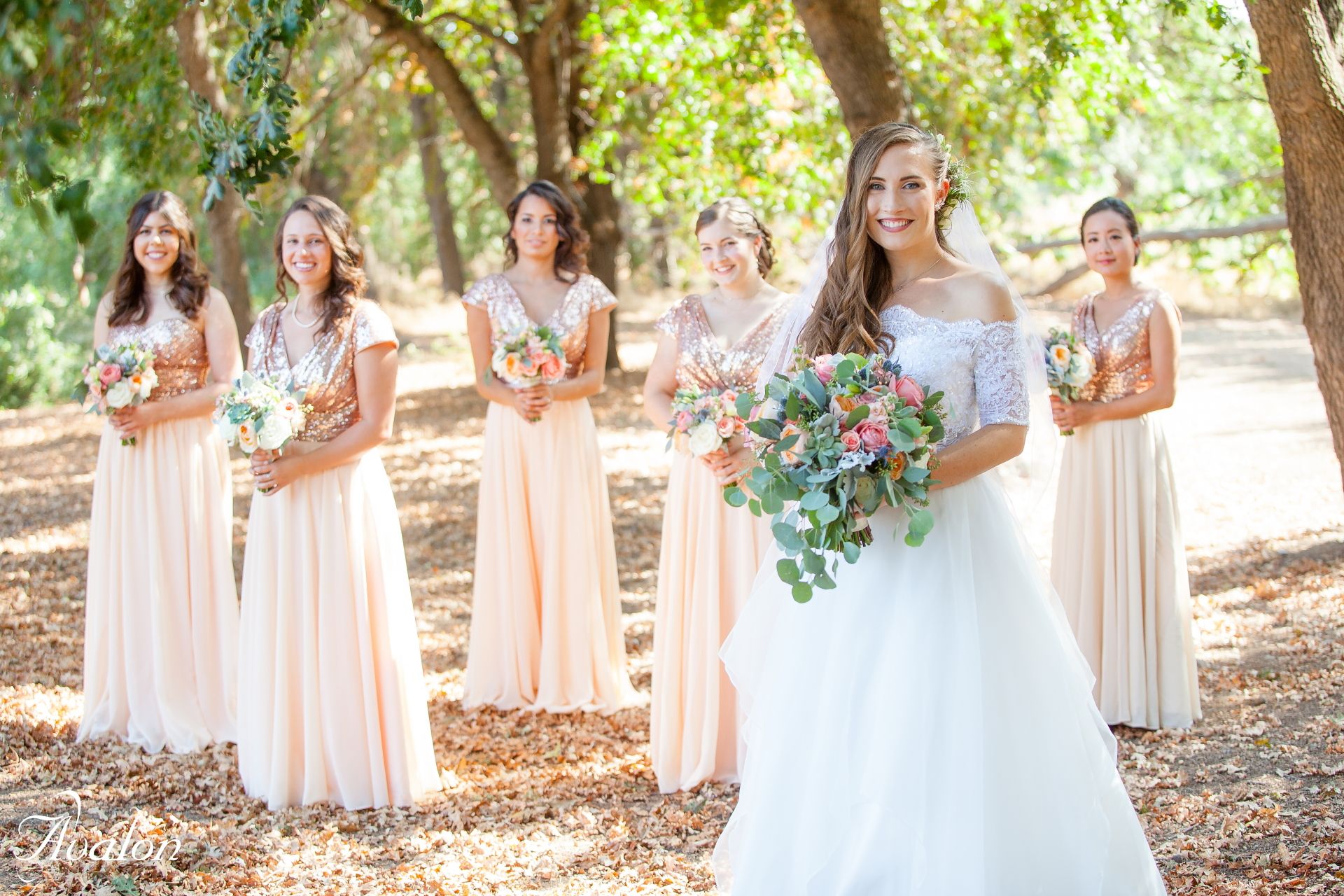 Wedding party poses in blush pink dresses and white gown against a natural outdoor setting.