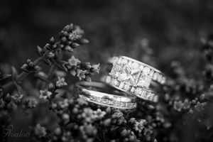 Detailed black and white macro photo of diamond wedding rings nestled among delicate flowers.