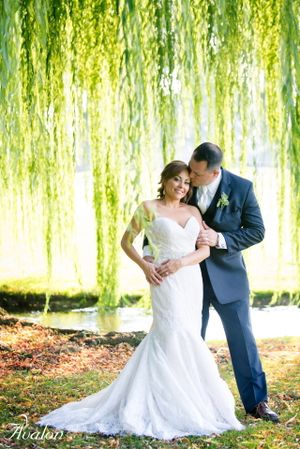 Wedding couple poses beneath cascading willow branches in afternoon sunlight.