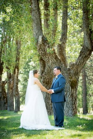 Wedding couple holding hands in a serene forest setting with tall trees.