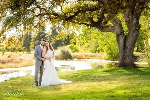 A romantic wedding couple poses under a majestic oak tree during golden hour near a pond.