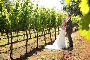 Wedding couple shares romantic moment in sunlit vineyard rows.