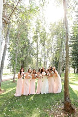 Bridesmaids in blush pink dresses posing beneath sunlit birch trees.
