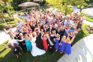 Large wedding group photo taken from above showing guests in colorful attire gathered in garden setting.