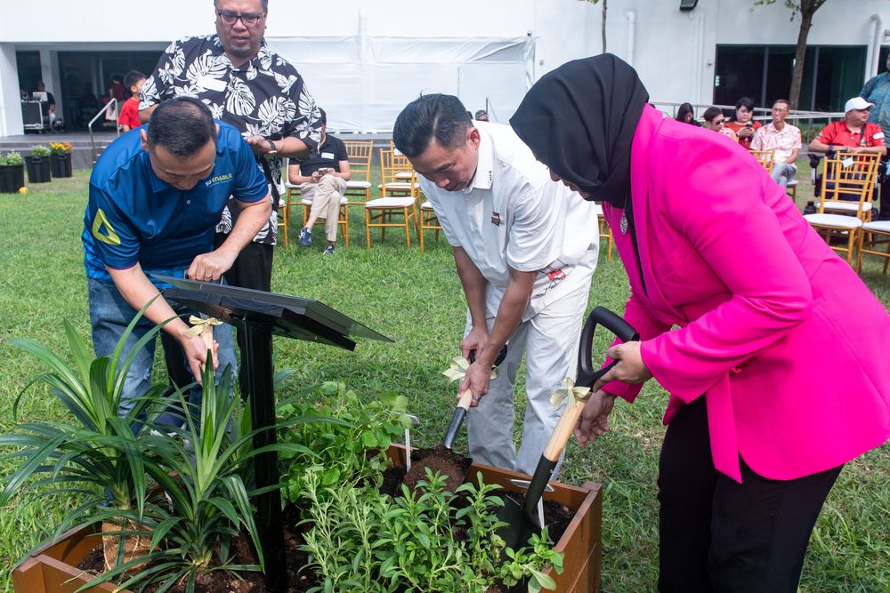 Three people tending to a raised garden bed with tropical plants at an outdoor community gardening event.