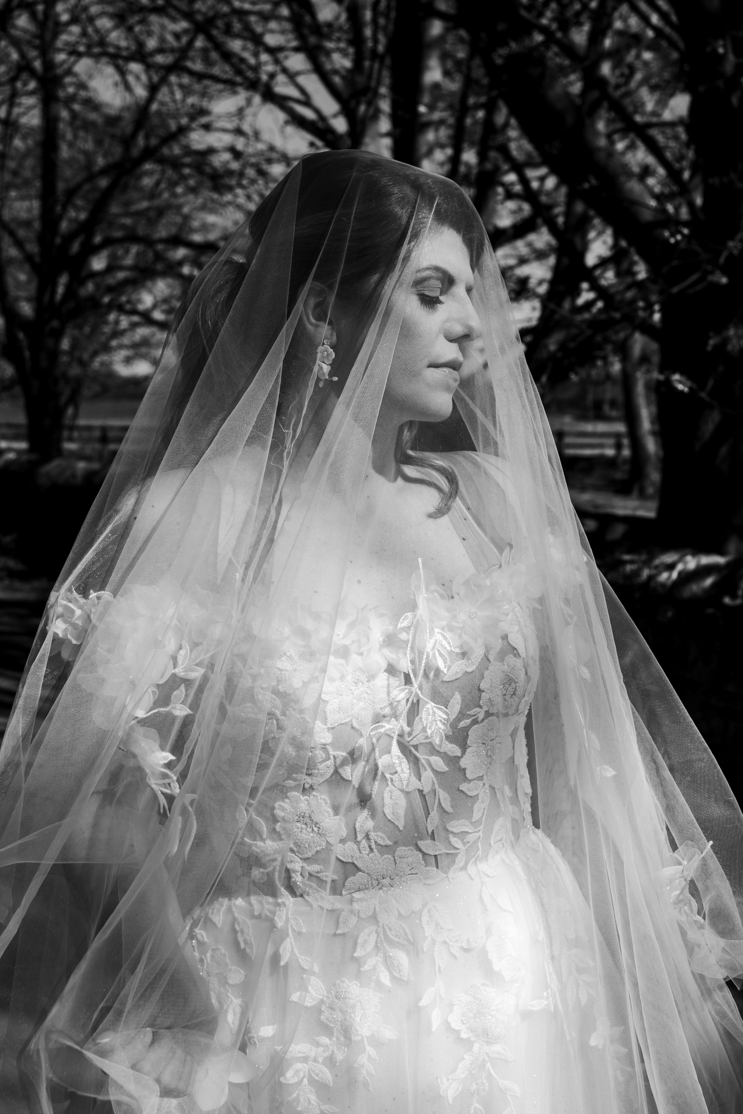 Black and white bridal portrait showing lace wedding gown with translucent veil and intricate floral details outdoors.