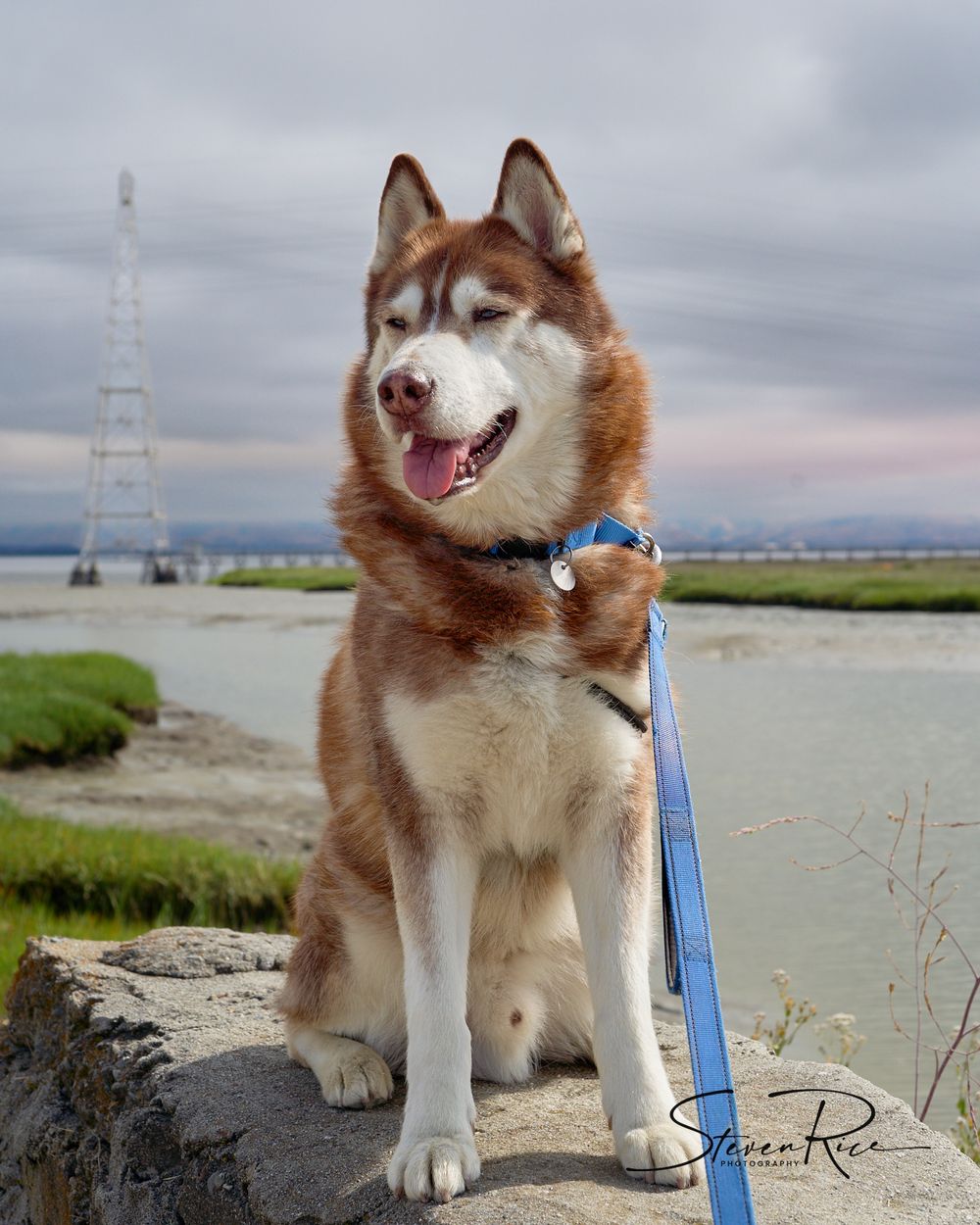 Odin next to the San Francisco Bay