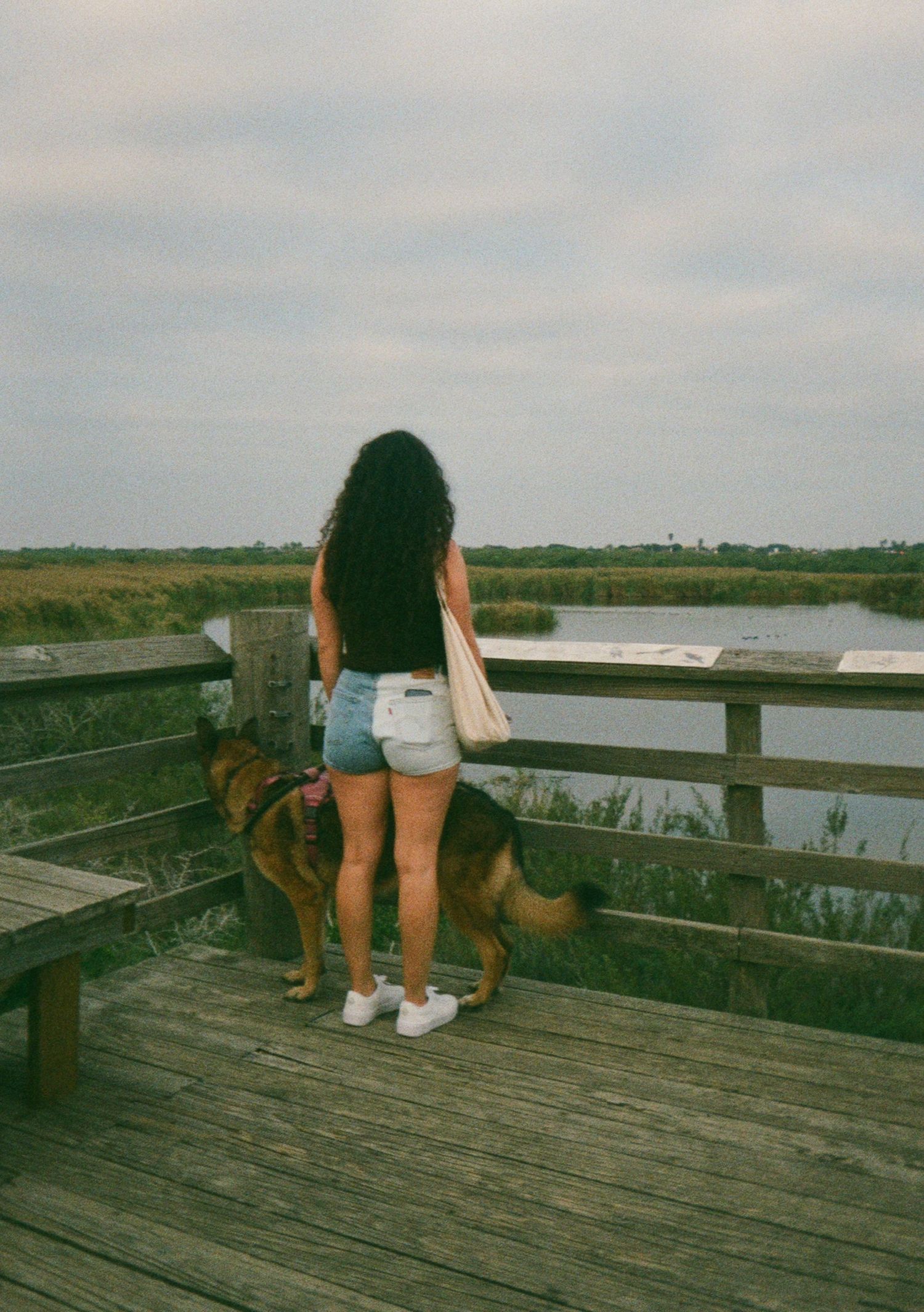 Woman and dog enjoying scenic view from wooden boardwalk overlooking marshland in Corpus Christi, TX.