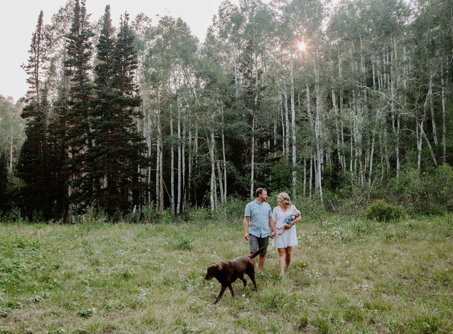 A scenic mountain meadow with aspen trees and evergreens where people enjoy nature with their dog at sunset.