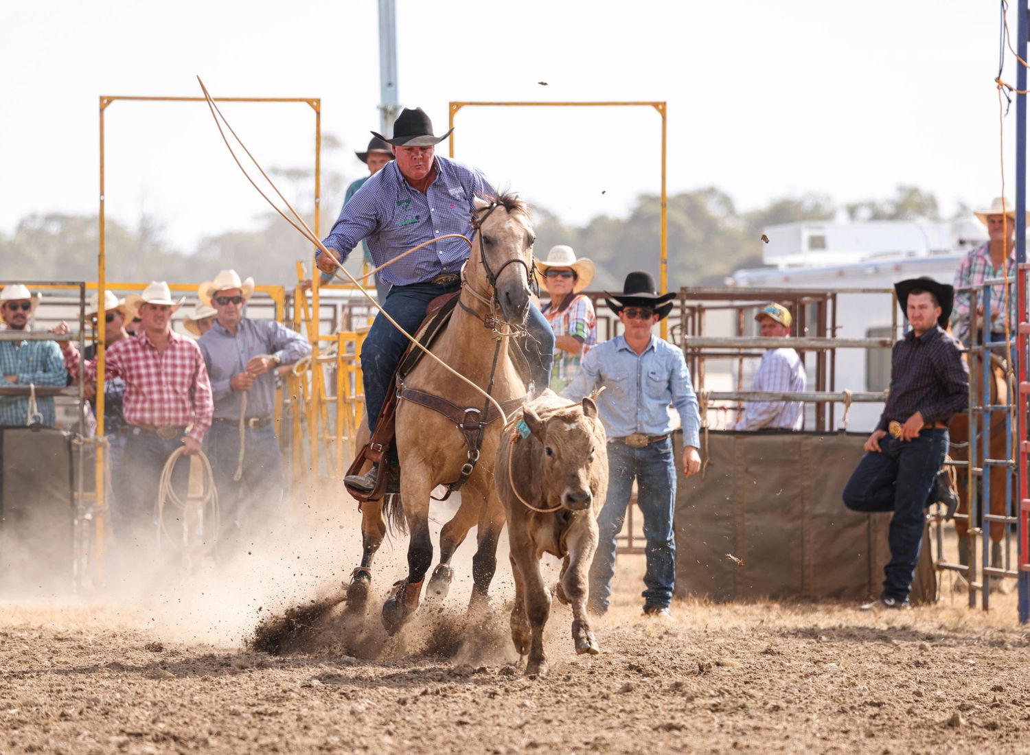 Weddings - Kelly Martyn Photography